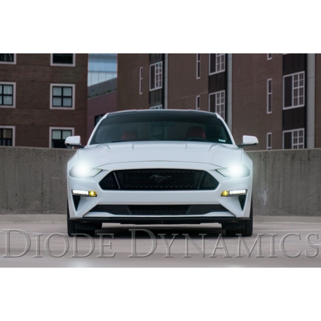 2018-2022 Mustang Diode Dynamics Elite Series Fog Lamps