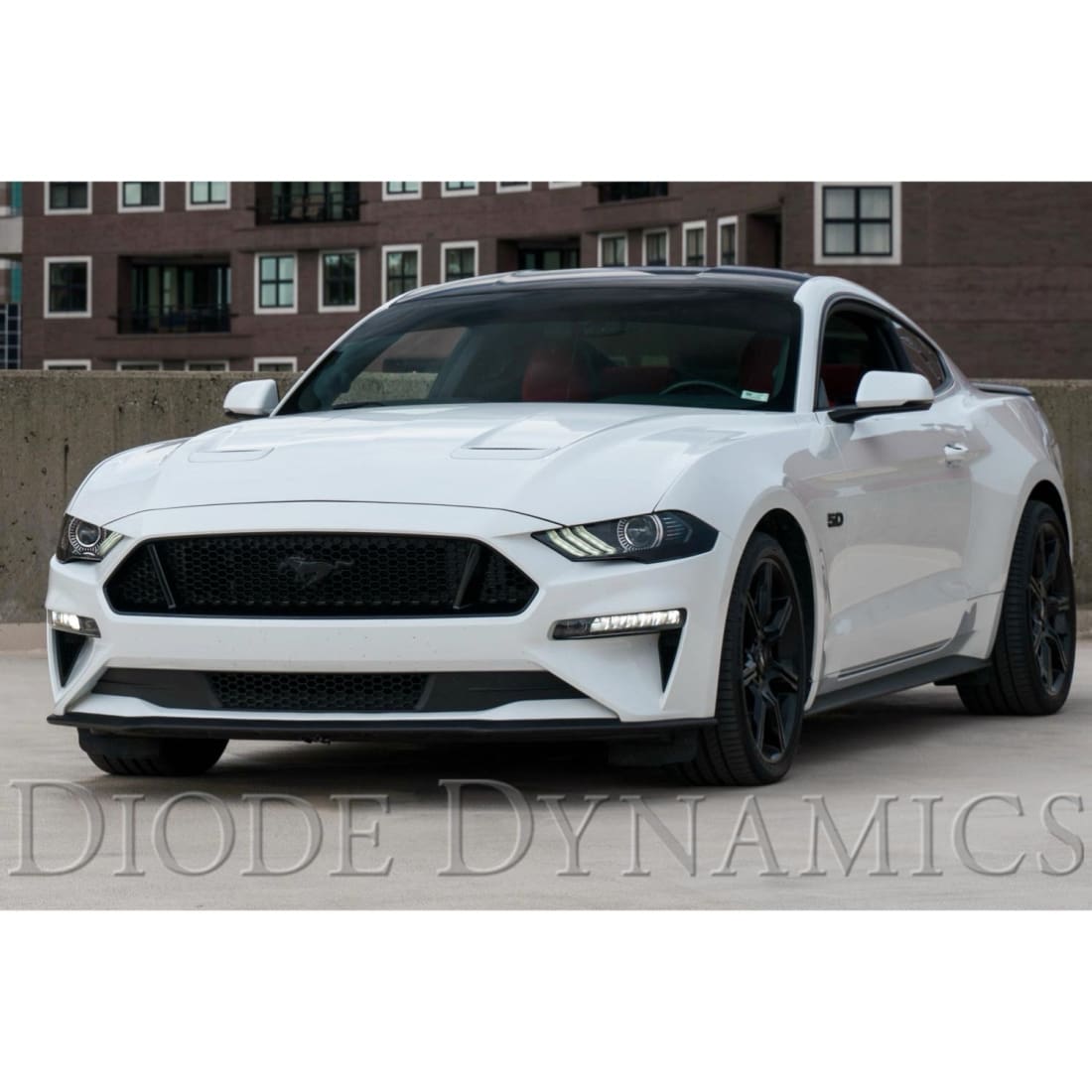 2018-2022 Mustang Diode Dynamics Elite Series Fog Lamps