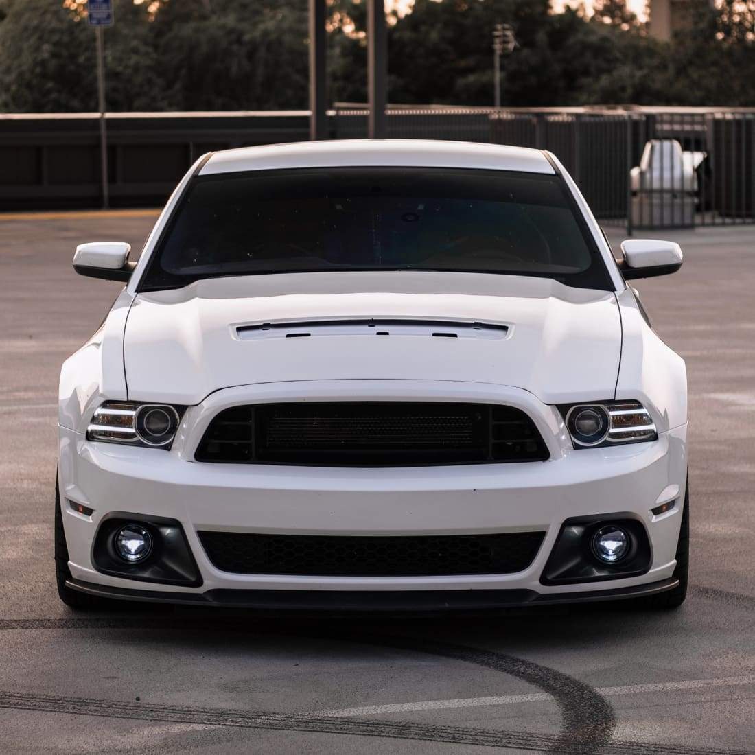 Barefoot Industries SVT Cobra Morimoto XB Fog Conversion Kit